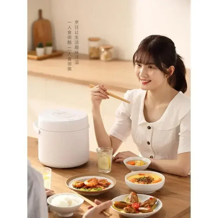 Mini-Reiskocher 110V 220V Dual – Baby Food Japanese Bewertung und Preis